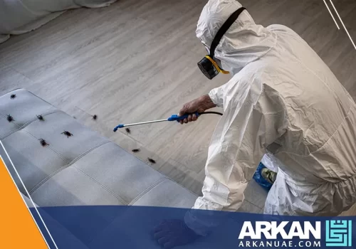 عامل من شركة أركان التطوير يعقم غرفة النوم بعد مكافحة بق الفراش في رأس الخيمة.