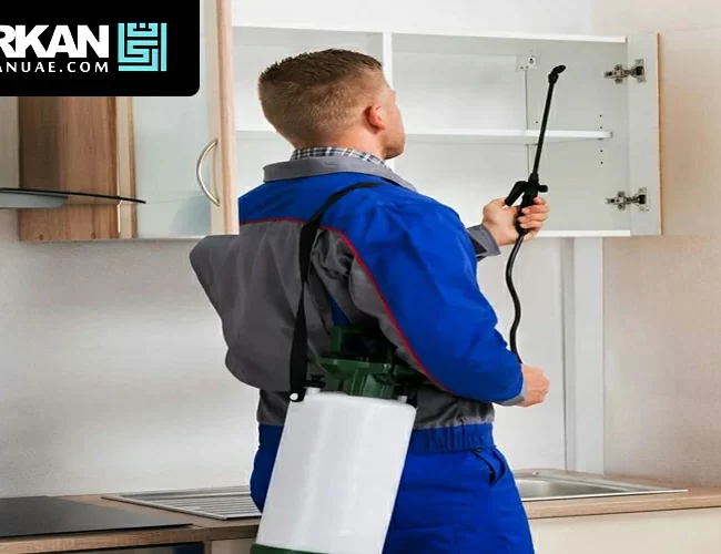 شركة مكافحة حشرات في الشارقة