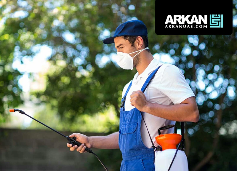 شركة مكافحة الحشرات في دبي