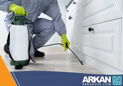 فني محترف يستخدم معدات متطورة في مكافحة الحشرات داخل المنزل، يمثل خدمات شركة مكافحة حشرات في دبي لضمان بيئة نظيفة.