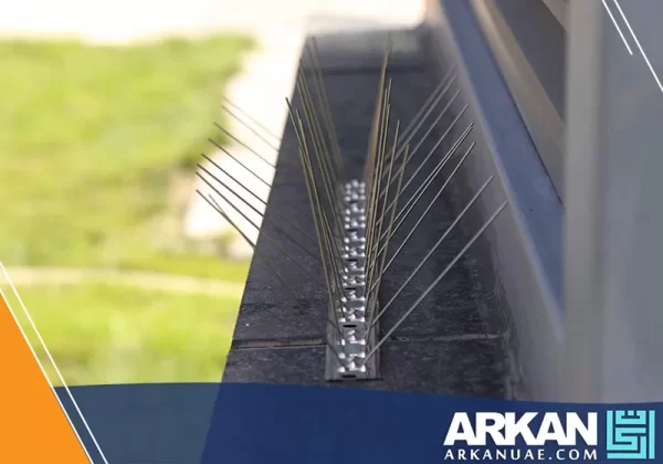 شركة مكافحة الحمام في دبي