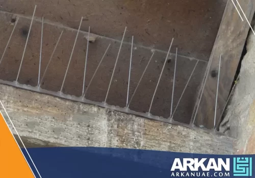 شركة طارد حمام في دبي