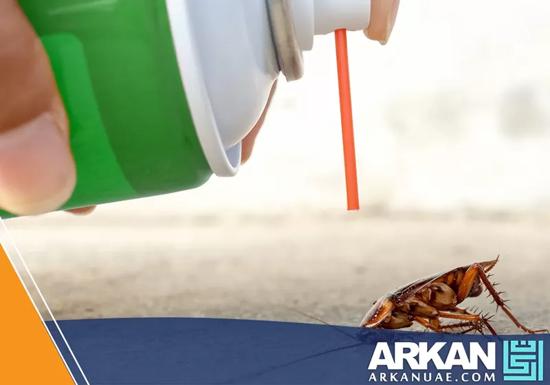رش مبيد حشري مباشر على صرصور يوضح دور شركة مكافحة صراصير في الشارقة في القضاء على الصراصير.