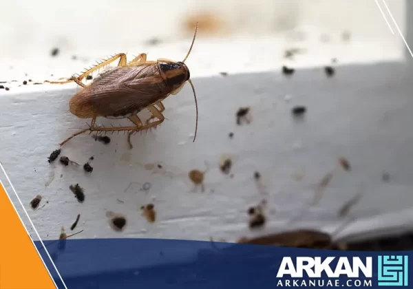 شركة مكافحة صراصير في الشارقة