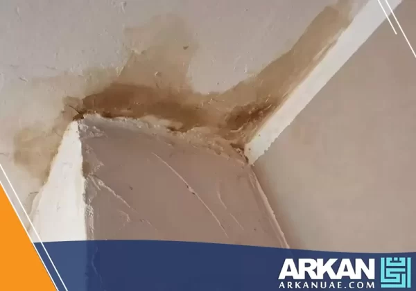 معالجة الرطوبة في الامارات