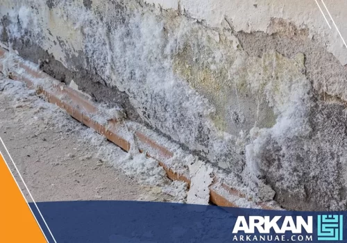 افضل شركة معالجة الرطوبة في الامارات 