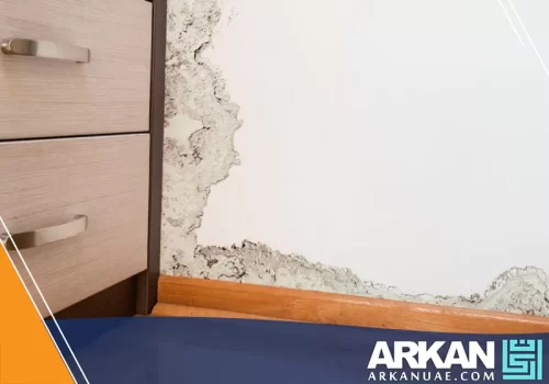 علاج الرطوبة للحمامات والمطابخ في الفجيرة