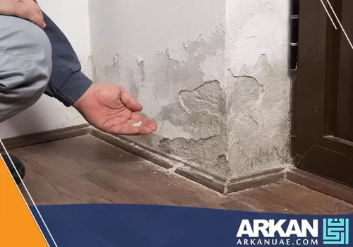 أضرار الرطوبة على المنزل في عجمان 